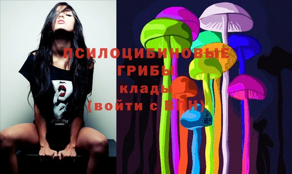 индика Алексеевка